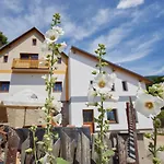 Marika 1 By Interhome Apartment Cerny Dul